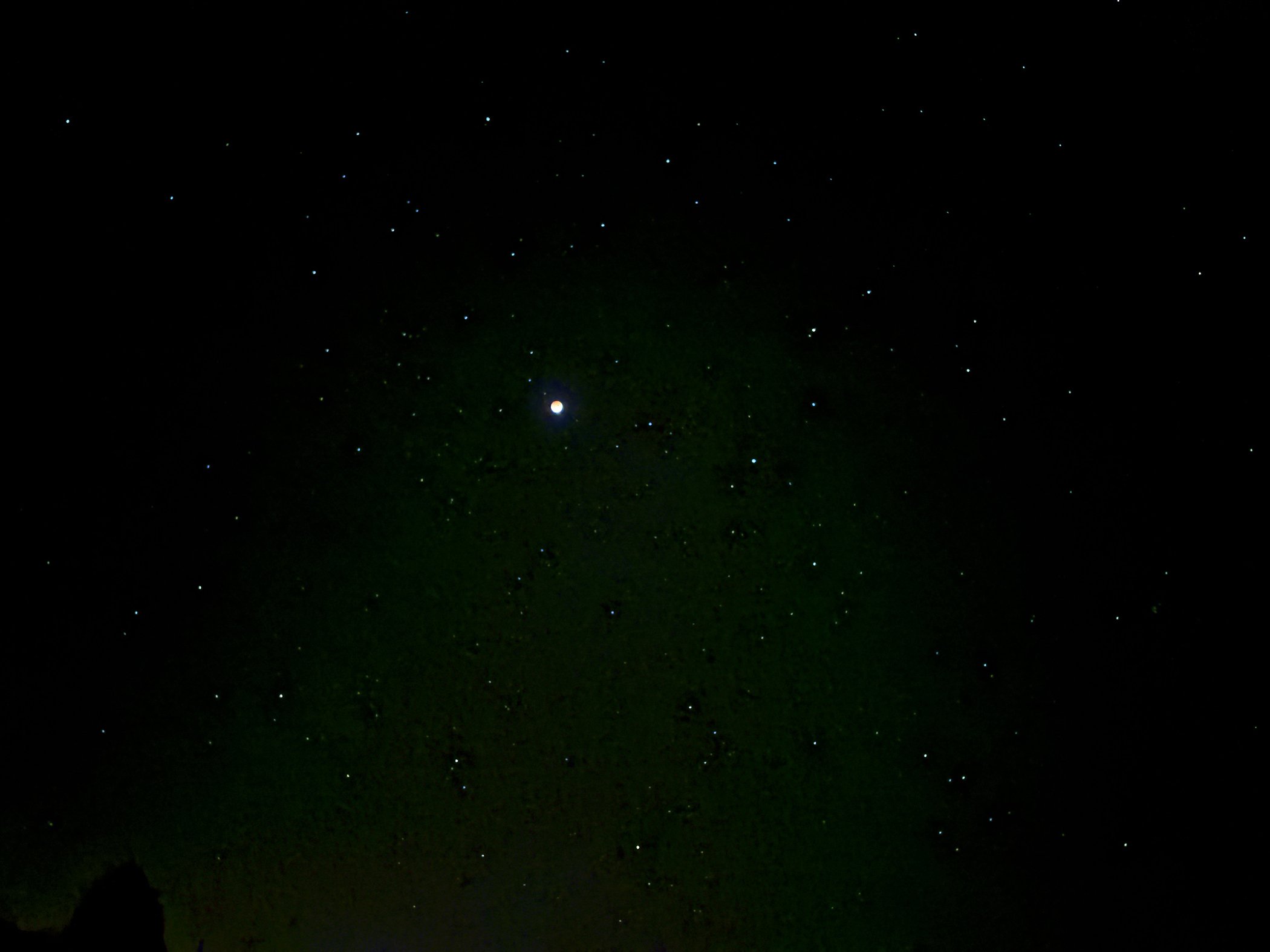 Blood Moon_1007 copy.jpg