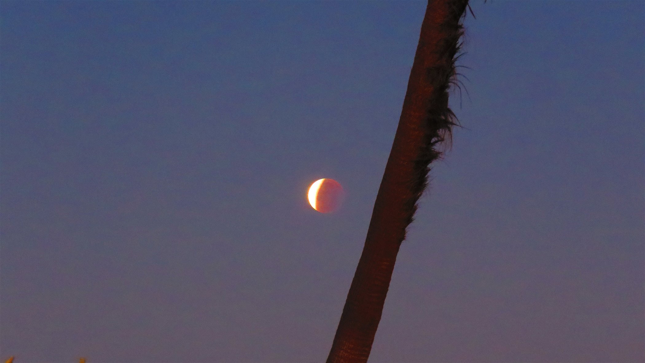 Blood Moon_9857 copy.jpg