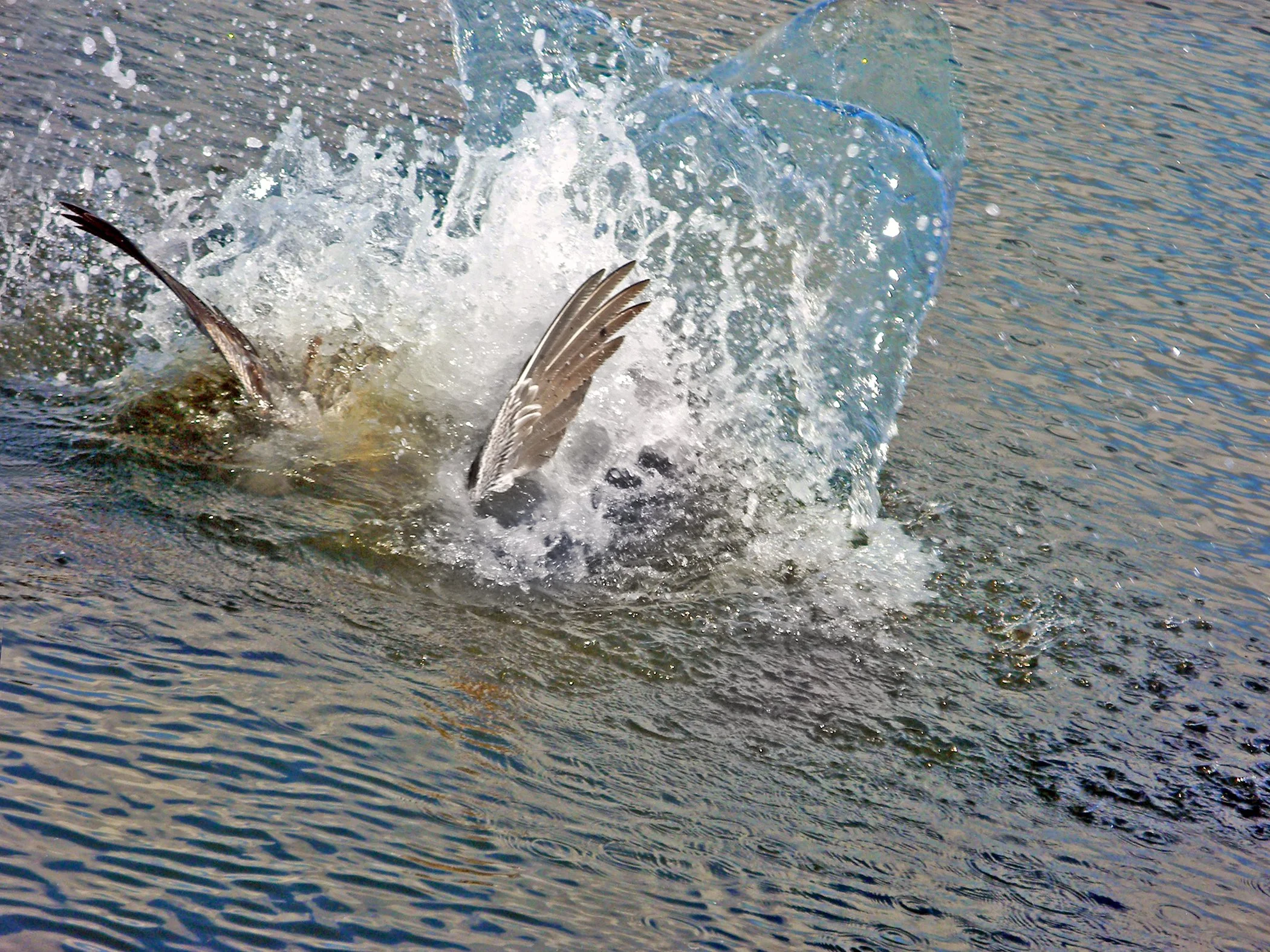 just breathe copy.jpg