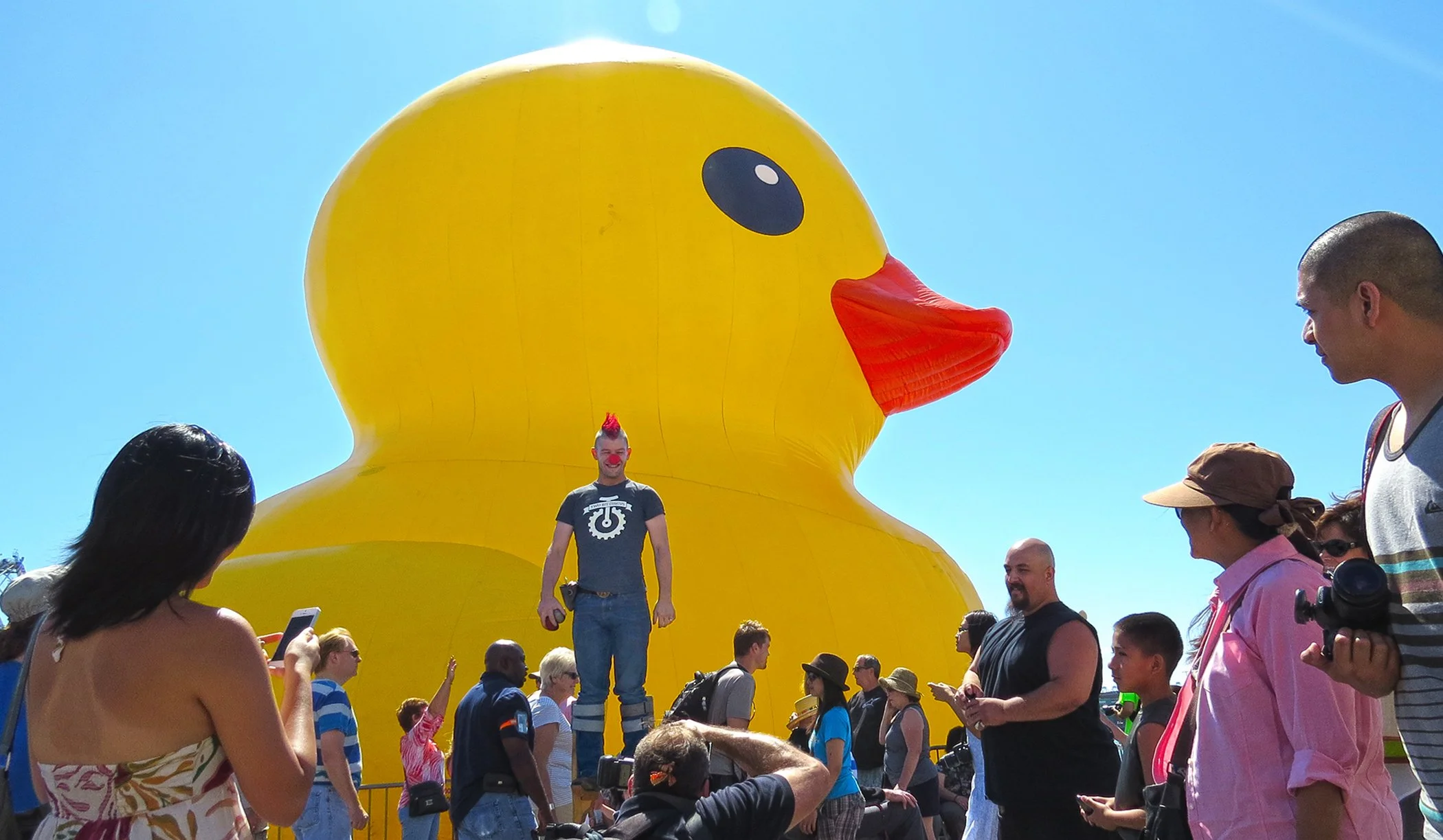 Duck_6235 copy 2.jpg