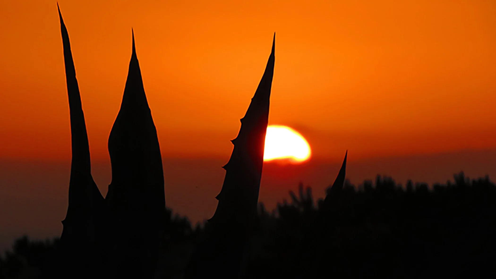 Sunset_1761 copy.jpg