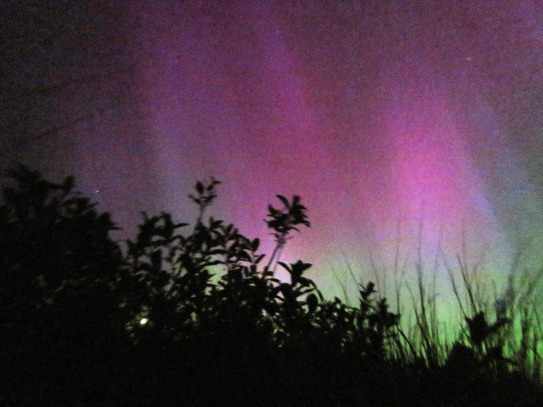 Aurora_2722 copy.jpg