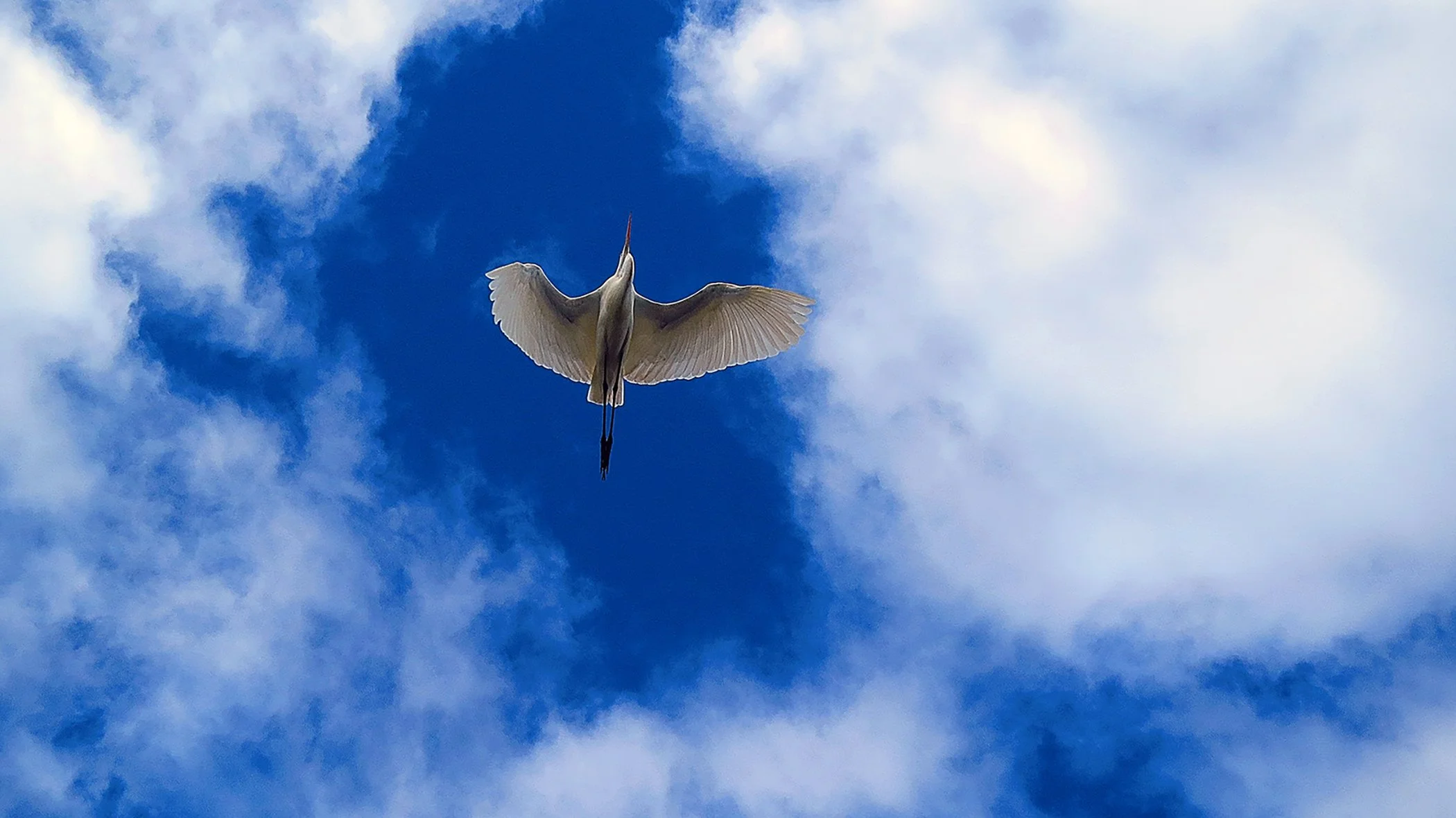 Flight_3992 copy.jpg