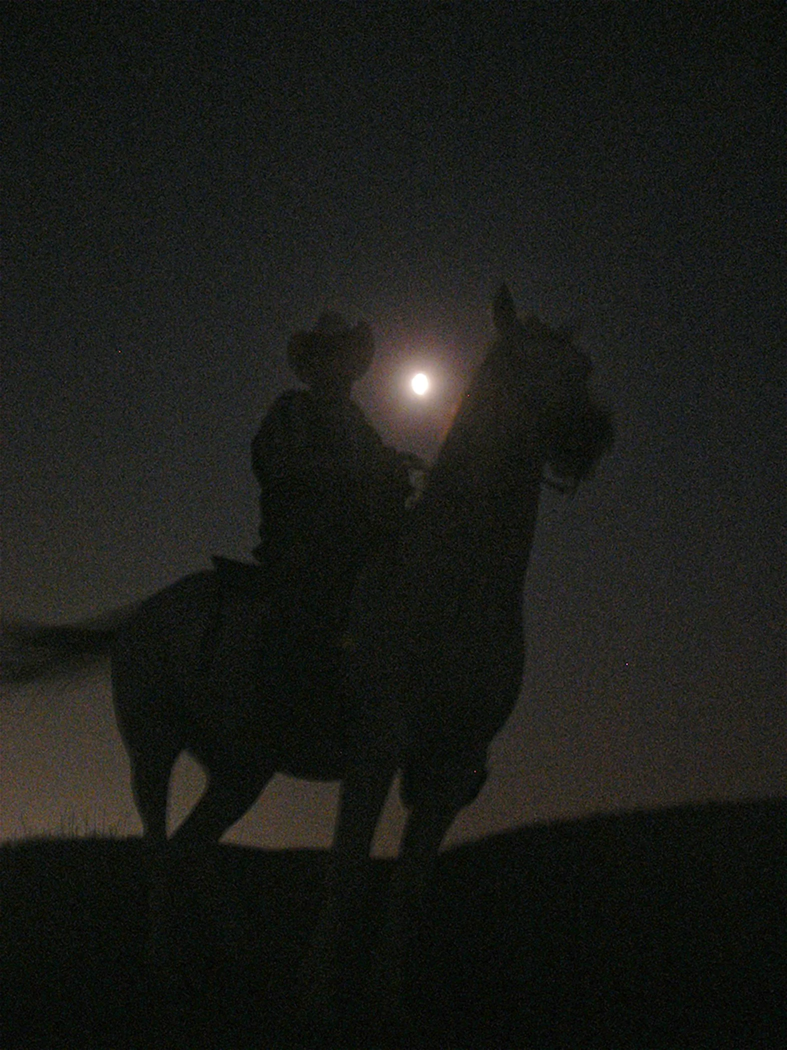 Bravado 6347 copy.jpg