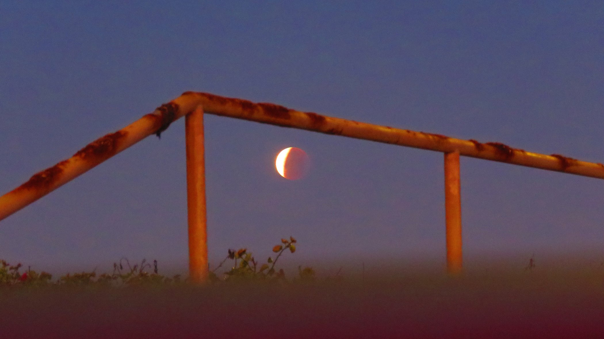 Blood Moon_9863 copy.jpg