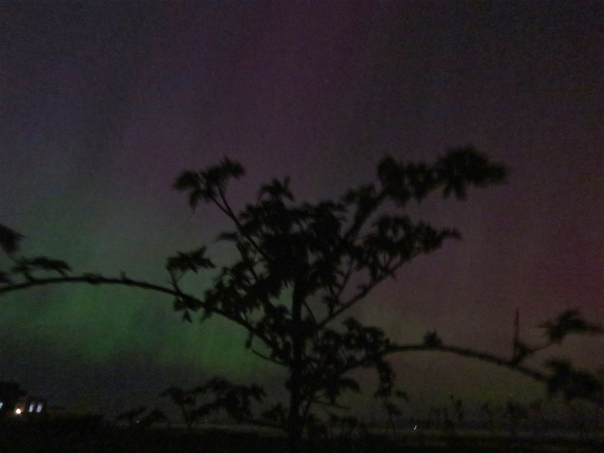 Aurora_2761 copy.jpg