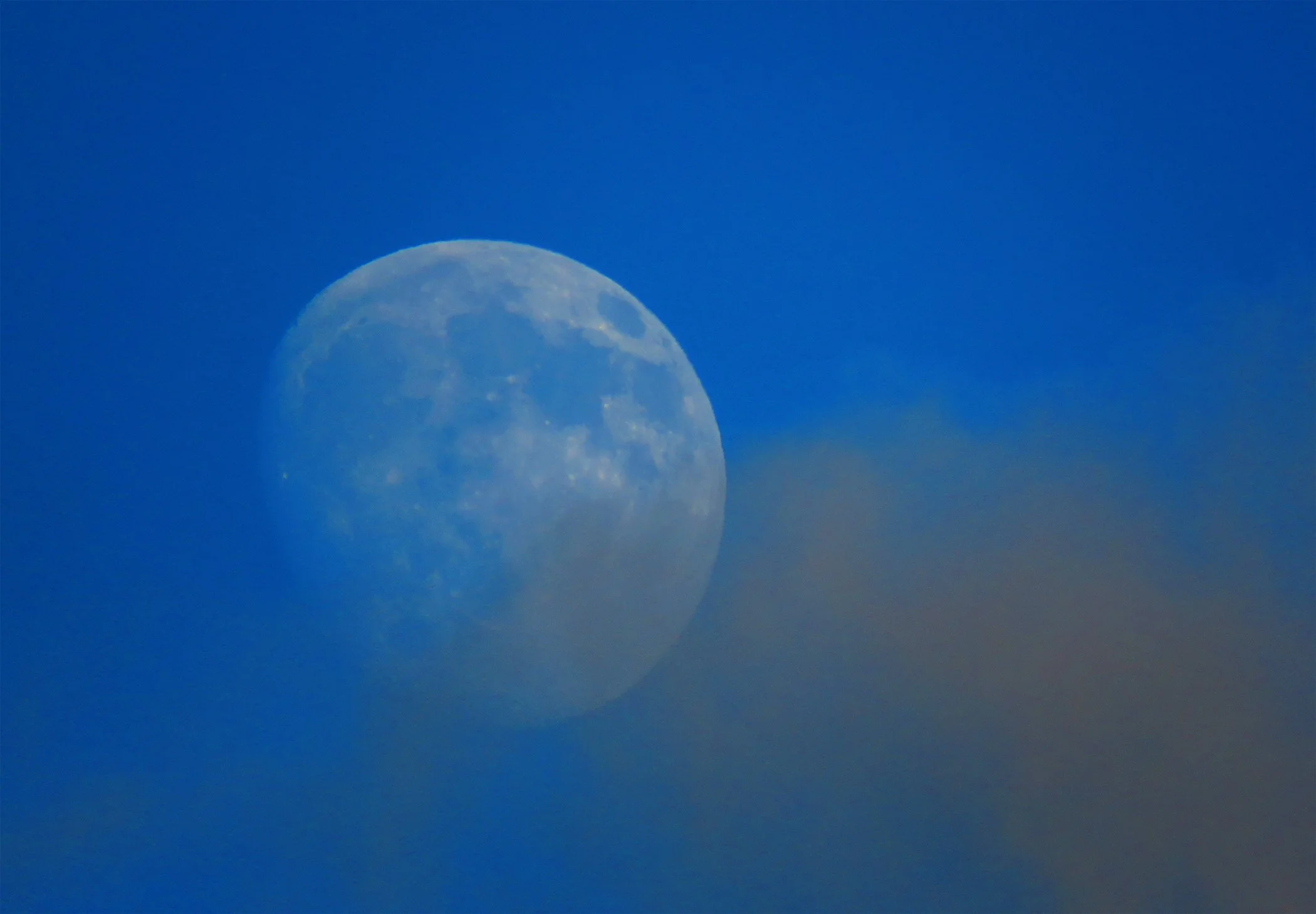 Zen Moon_0539 copy.jpg