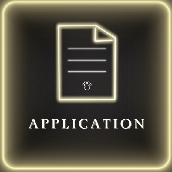 APPLICATION