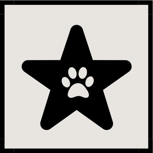 Certain features and amenities are only available during in-person sessions at ND Canine Academy. These include personalized rewards such as dog treats or toys, photo shoots and fitting sessions, guest mini gifts, and training guide folders for guest