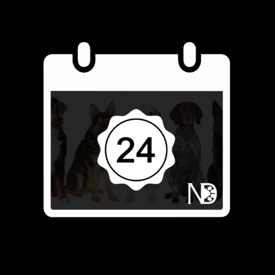 $4500  Indulge your dog with 24 private training classes, redeemable at your leisure over 365 days, accompanied by full access to our exclusive Member Perks. Save $300 with annual enrollment.