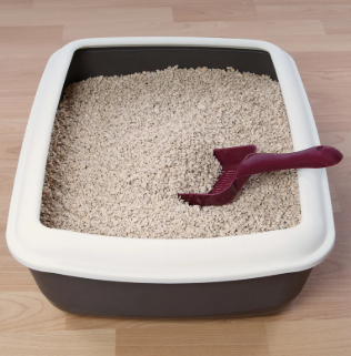 Litter Box Boundaries