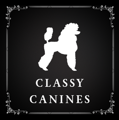 Silhouette of a poodle with a smaller dog, with the text 'Classy Canines' below, framed with decorative border.