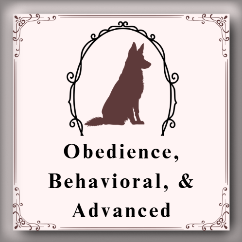 Obedience, behavioral and advanced