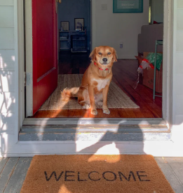 House Manners