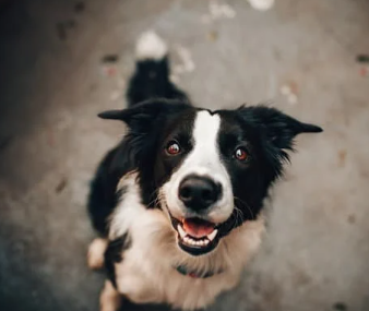 Monthly VIP- 8 class Bundle of your choice