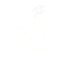 Online or in‑person private training, fully customized. Choose the specialties your dog needs, and we’ll create custom classes designed just for them.
