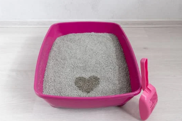 Litter Box Boundaries