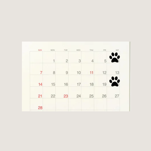 Membership includes two bespoke training classes per month, chosen by you from our complete range of specialties. Enjoy custom coordinated, private, virtual and/or in person dog training classes with a professional. You and your trainer will coordina