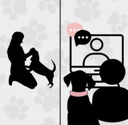 Screenshot 2025-02-04 164405.png