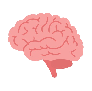 Our canine-cognitive approach cultivates confidence and clarity through thoughtful, results-driven training, custom to each dog’s temperament, genetics, learning style, and unique needs, ensuring lasting skills and a stronger bond.