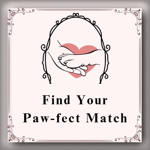 PAWFECT MATCH