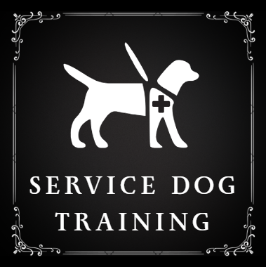 Service dog training sign with a silhouette of a dog and a medical cross on its side.