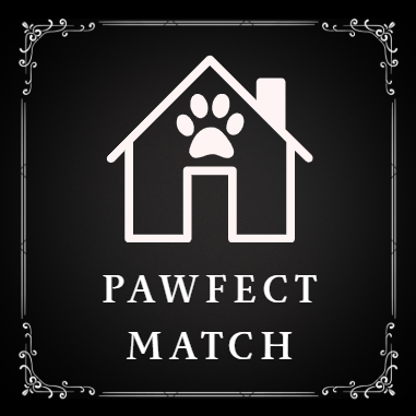 Logo with a house outline and a paw print inside, reading "PAWFECT MATCH".
