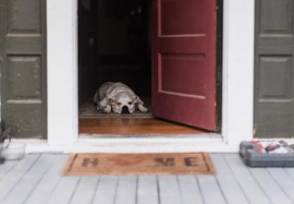 Doorway Manners
