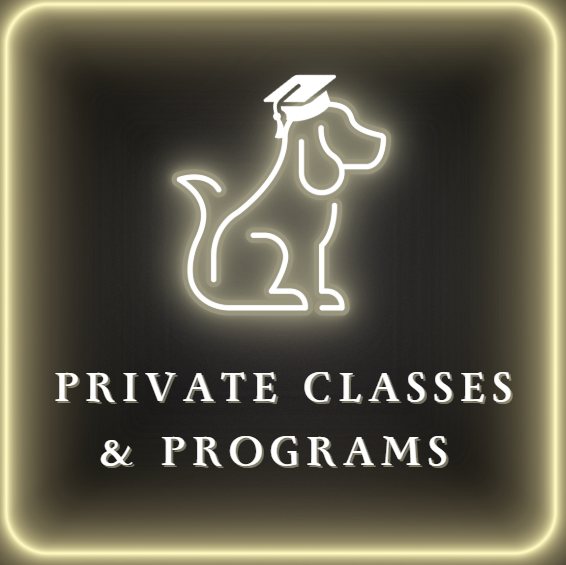 PRIVATE CLASSES AND PROGRAMS