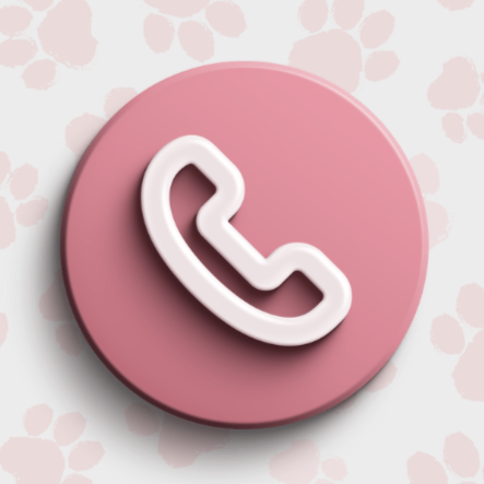 Every session includes a complimentary 30 minute follow up via phone or Zoom, so you can receive personalized guidance from the comfort of your home. ND Canine Academy ensures your dog’s training progress continues smoothly.