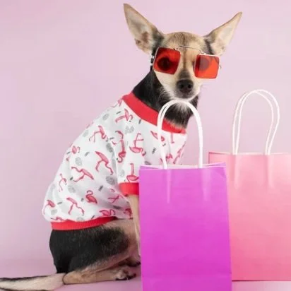 Early Access to ND Couture Lines Our VIPs enjoy exclusive early access to the latest ND couture line and reserve a slot for their pup. (Make sure to inform your trainer of any sensitivities your canine may have to certain fabrics.)