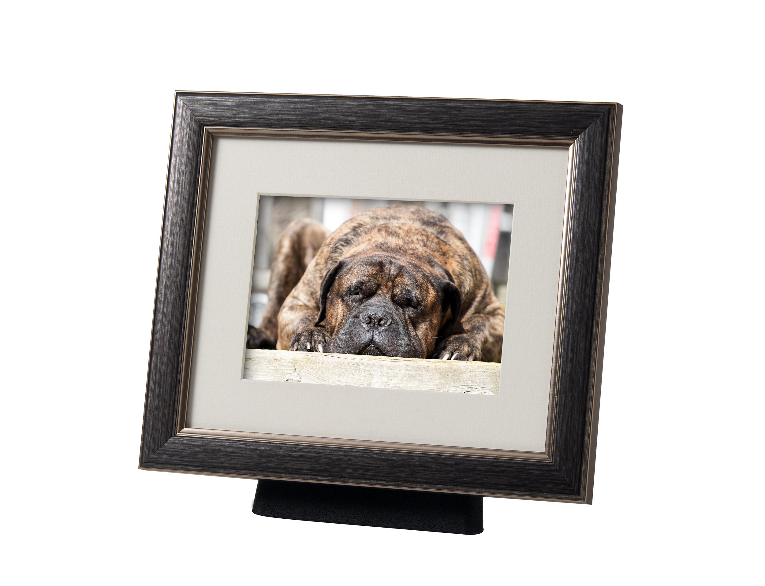A pewter frame with a Mastiff in it with ashes in the stand.