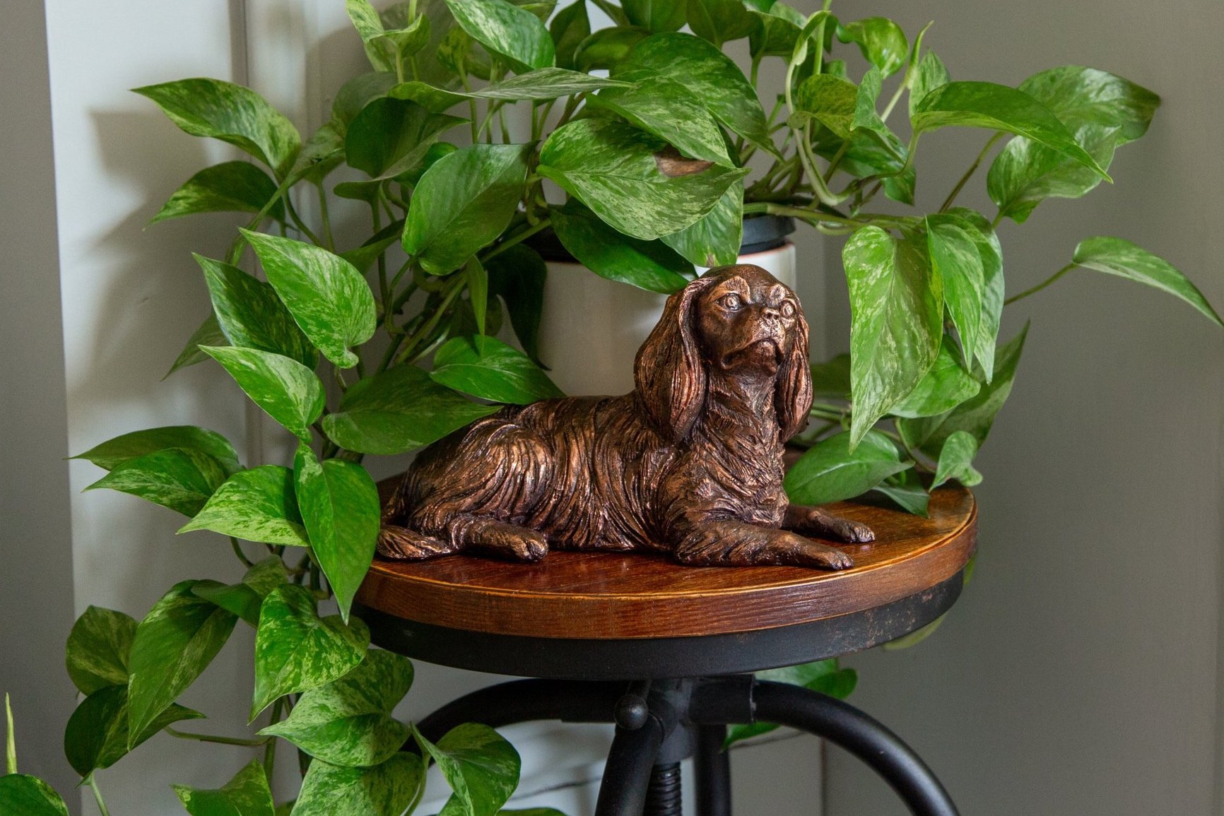A copper plated Cavalier King Charles Spaniel sculpture rests on a wooden stool, surrounded by lush green pothos plants against a softly lit background.