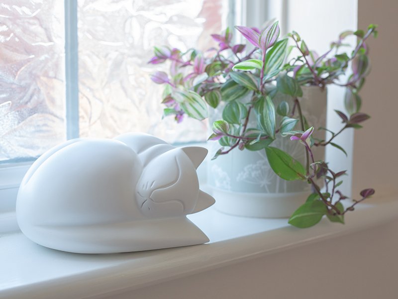 Cast Resin Sleeping Cat Urn - White