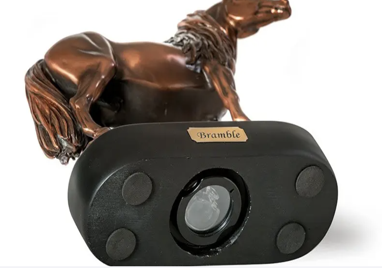 The Memory Capsule that is shown is in the base of the keepsake