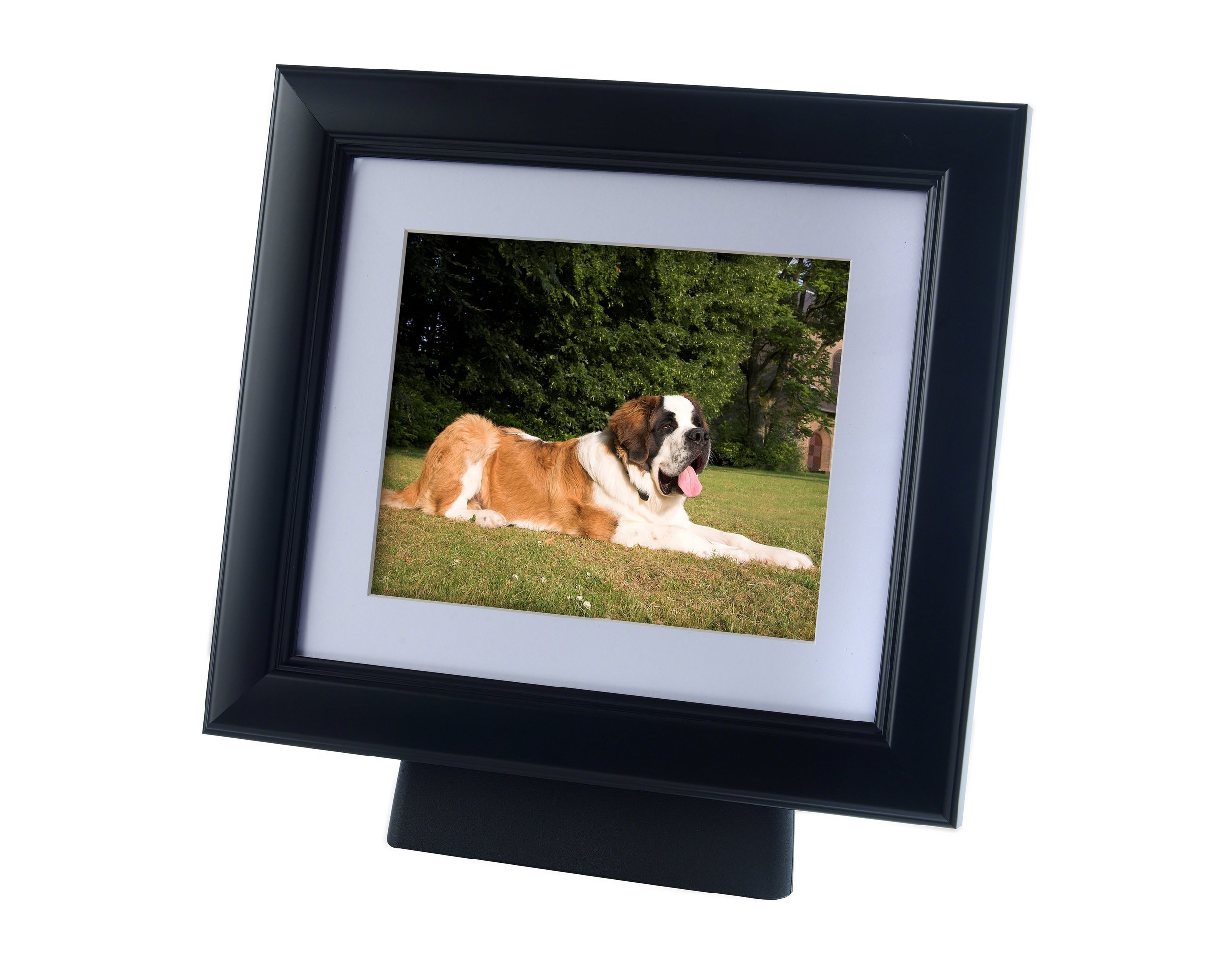 A black frame with a St Bernard in it with ashes in the stand.