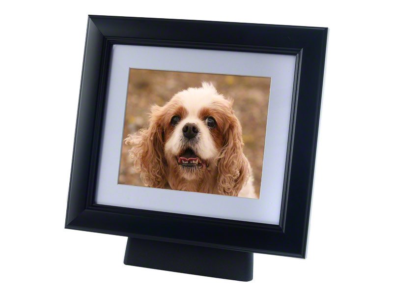 PETRIBUTE_TRIBUTE_FRAMEPOD_01_black.jpg