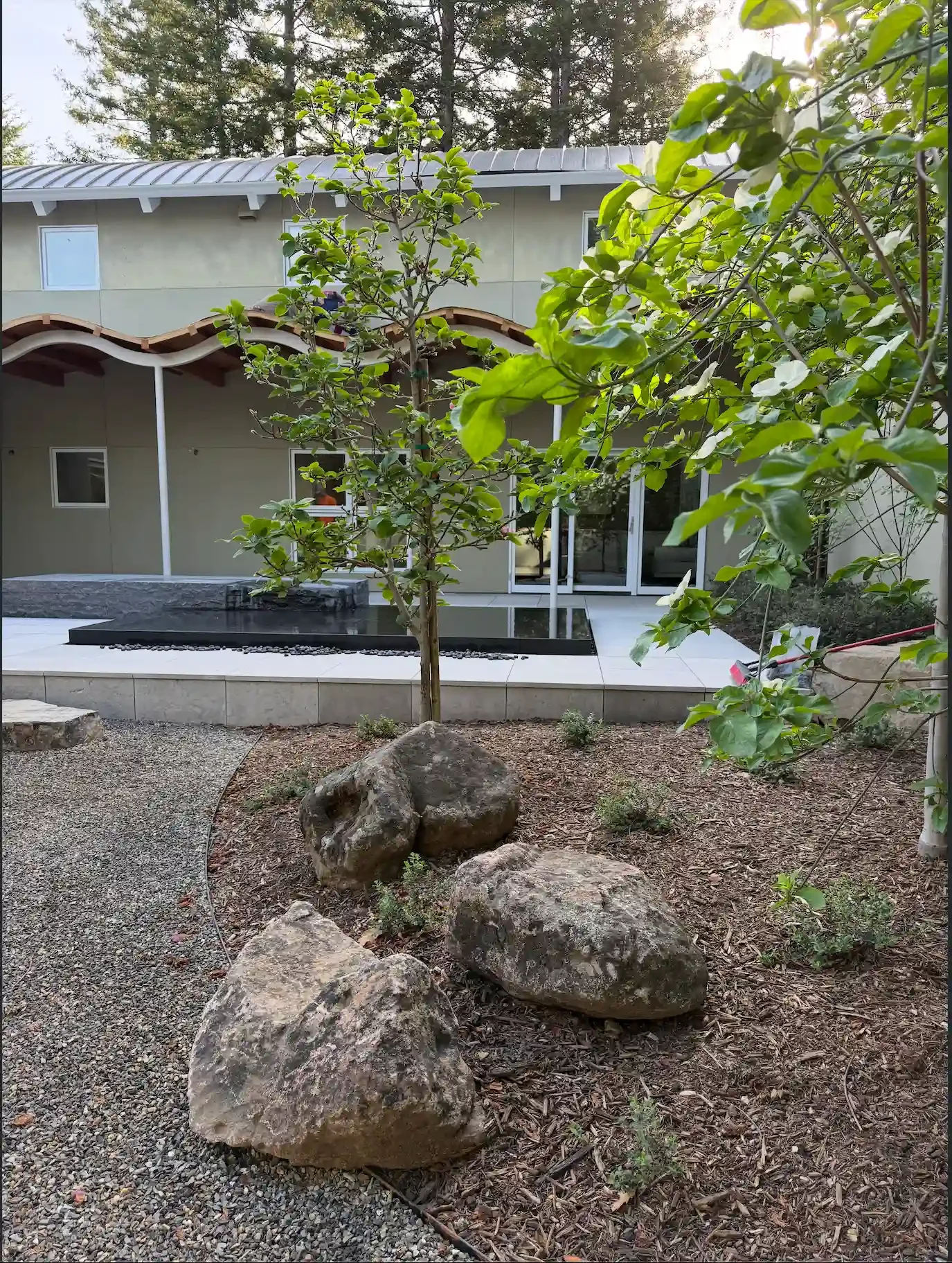 a-small-tree-is-in-the-middle-of-a-garden