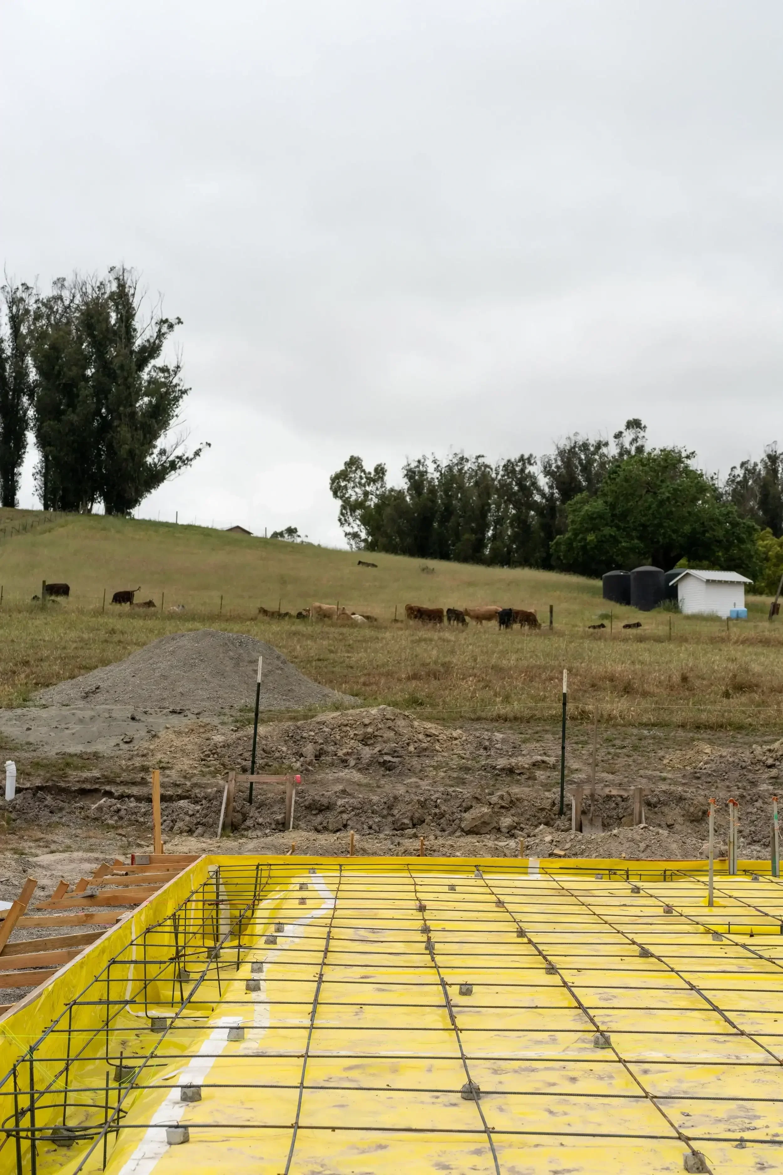 a-field-with-a-fence-and-a-field-with-a-cow.webp
