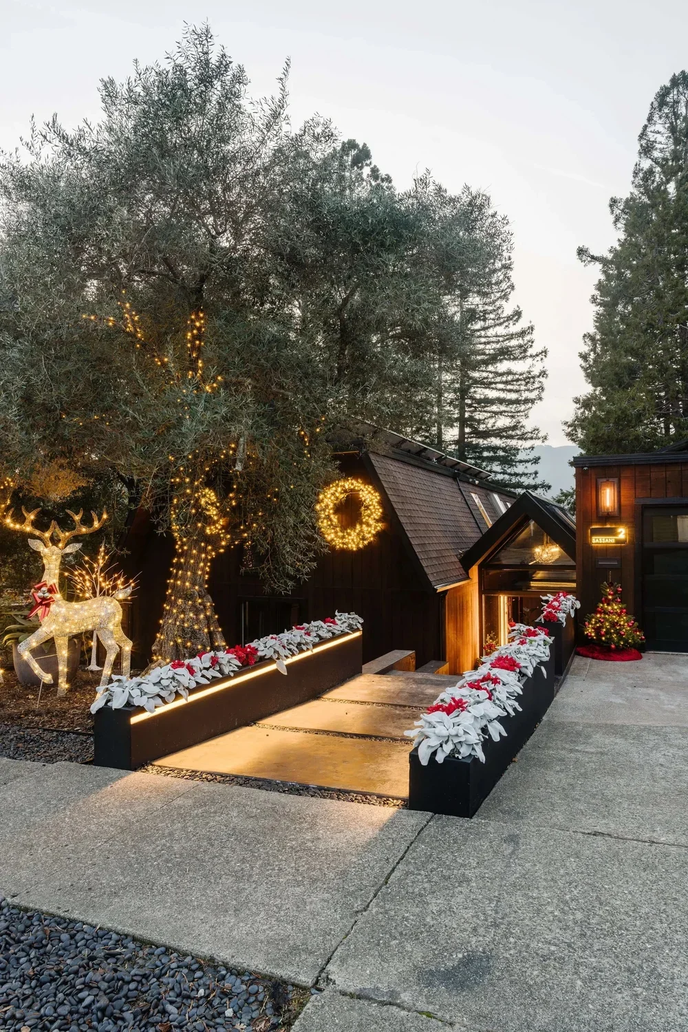 JFP_DottoSandstoneXmas48.webp