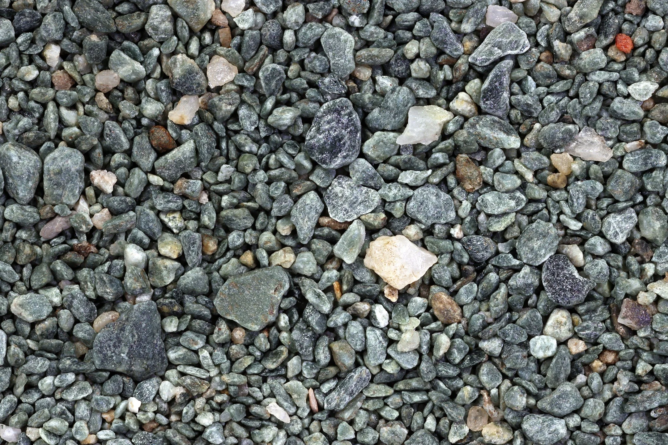 Basement Phylitte, Volcanic Shale, Ensenada Bay, Beagle Channel-Tierra-del-Fuego National Park, Argentina