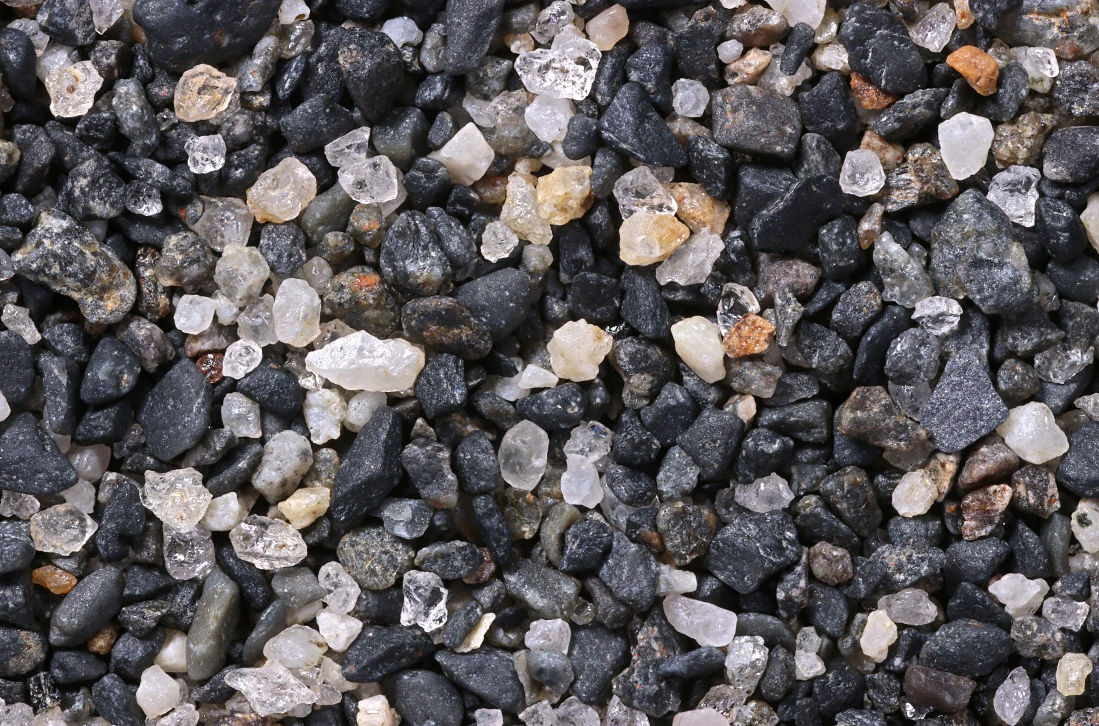 Lago Grey Beach, Lago Grey Glacier Torres Del Paine National Park, Region XII, Chile
