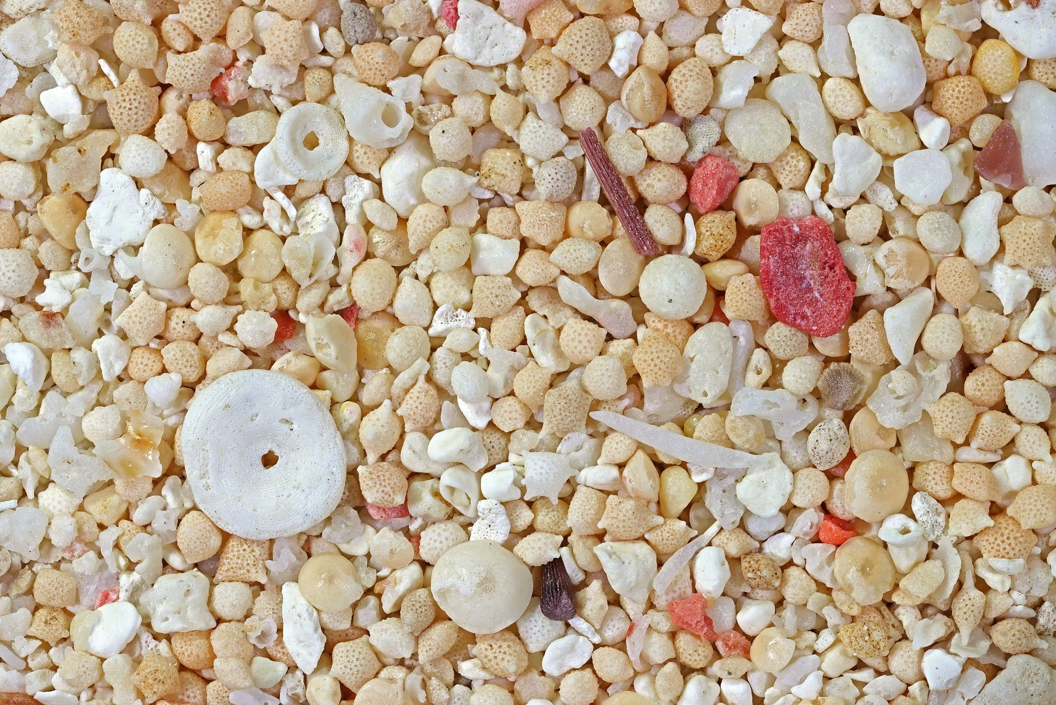 Nuku'alofa, Tonga