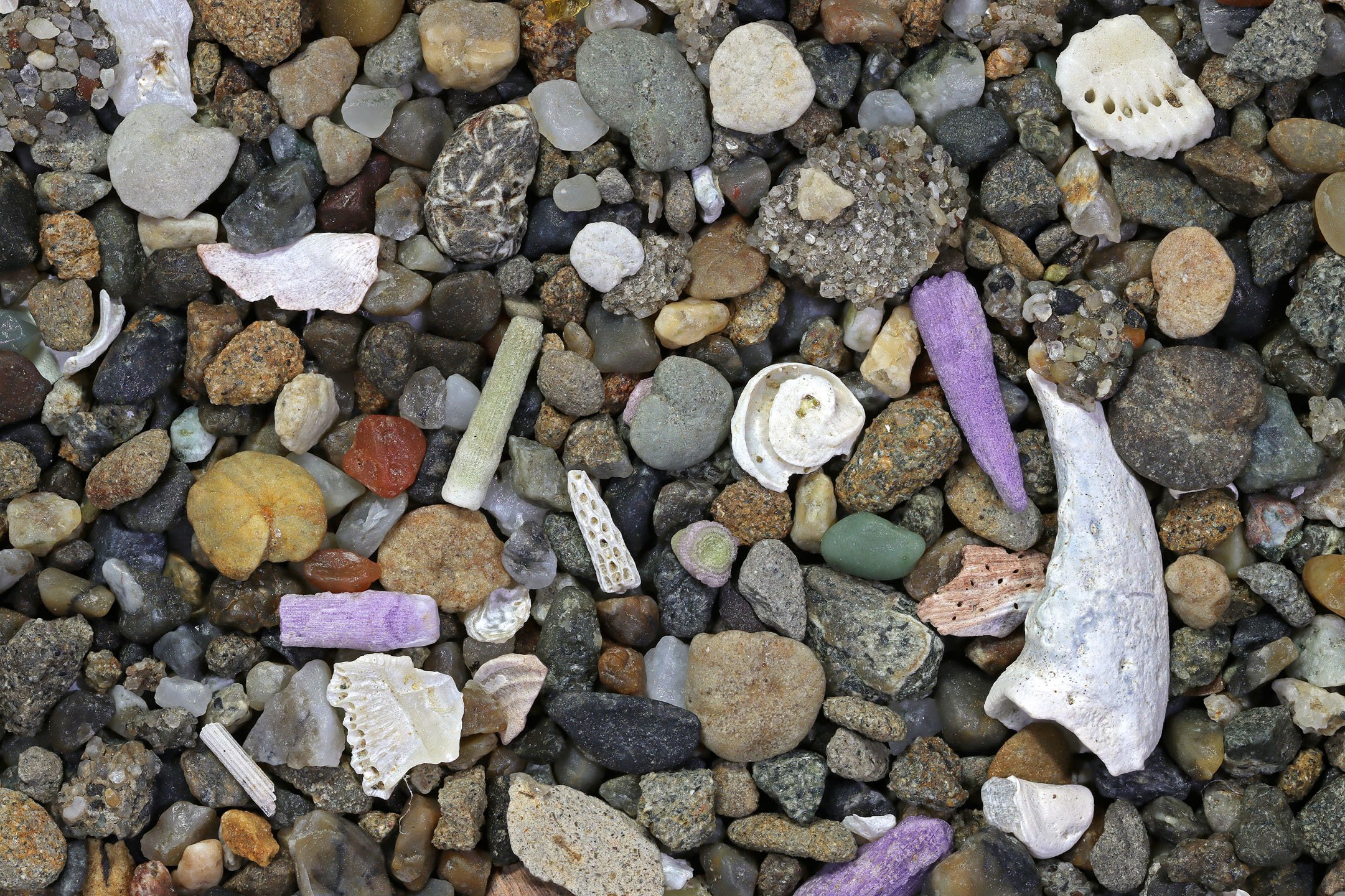 Neah Bay, Strait of Juan de Fuca, Washington