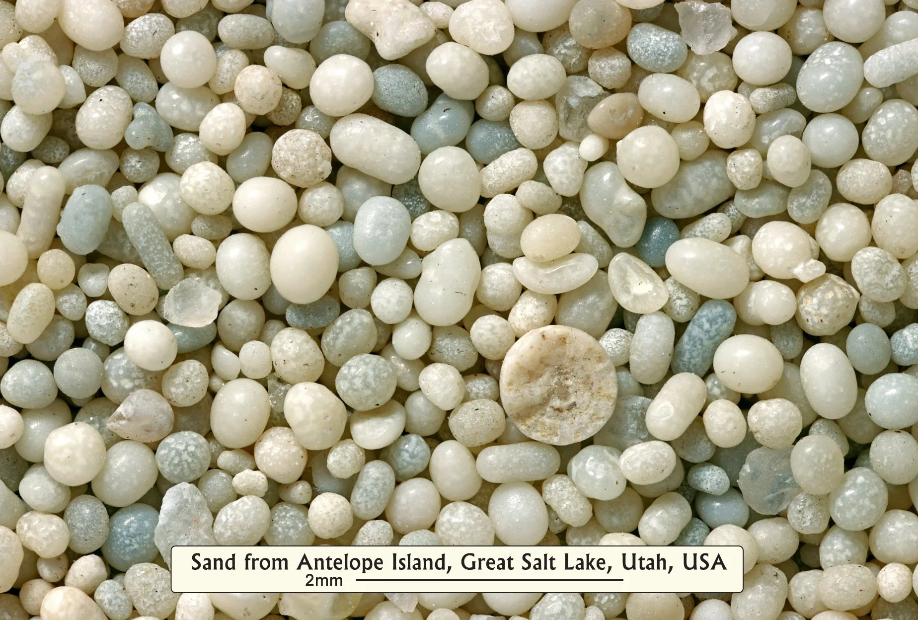 iscs-cards-1-cl-135-antelopeisl-gsl_ut_54734036619_o.jpg
