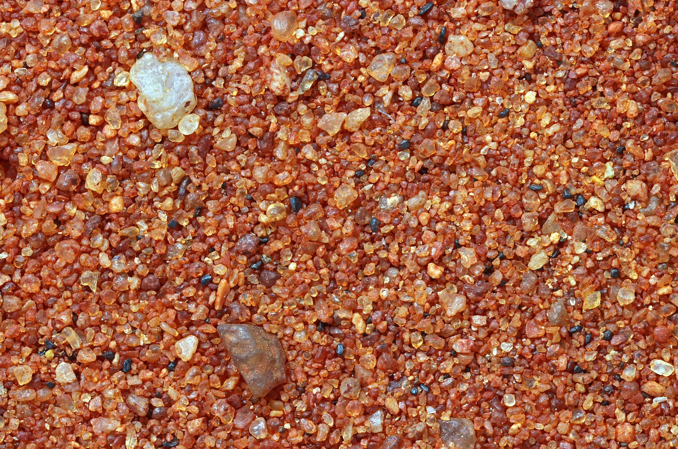 Olgas, Kata Tjuṯa, Northern Territory, Australia