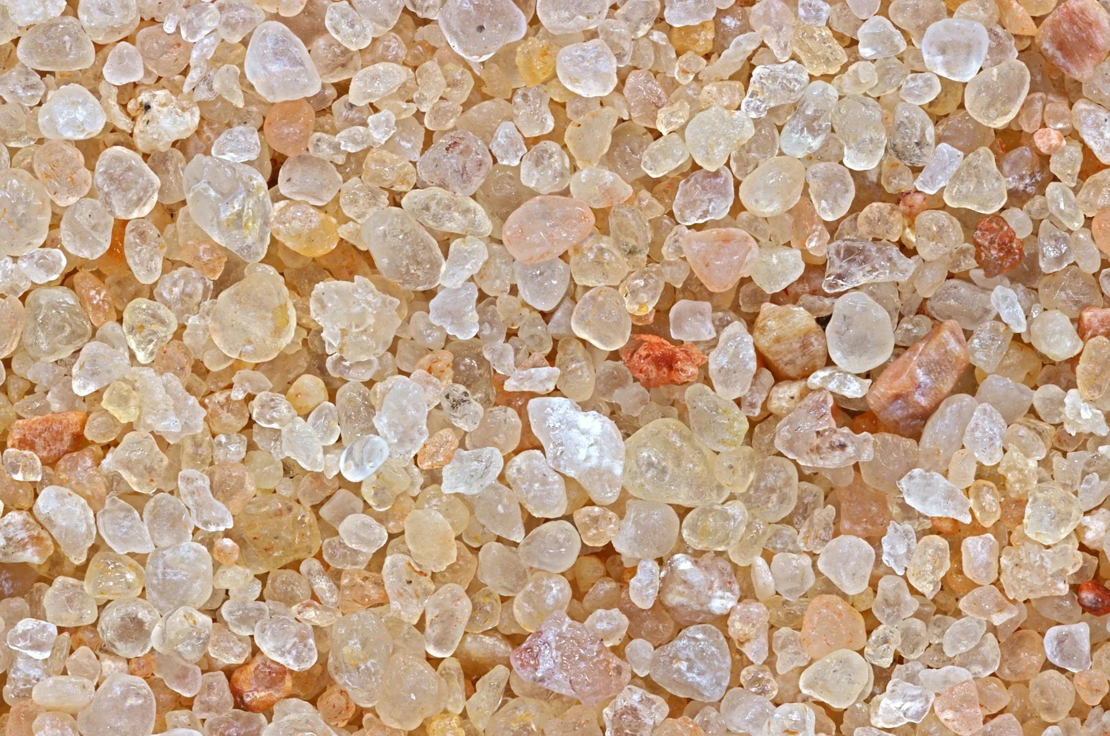 Construction Site, SW of Baghdad, Iraq