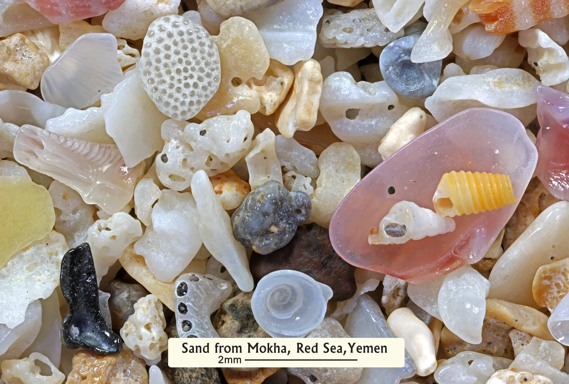 iscs-cards-1-fsv-18-mokha_yemen_54733590334_o.jpg