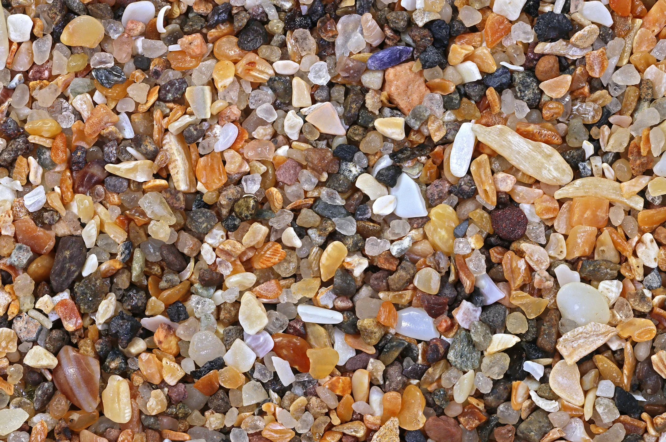 Beach, St Andrews Castle, Scotland, UK