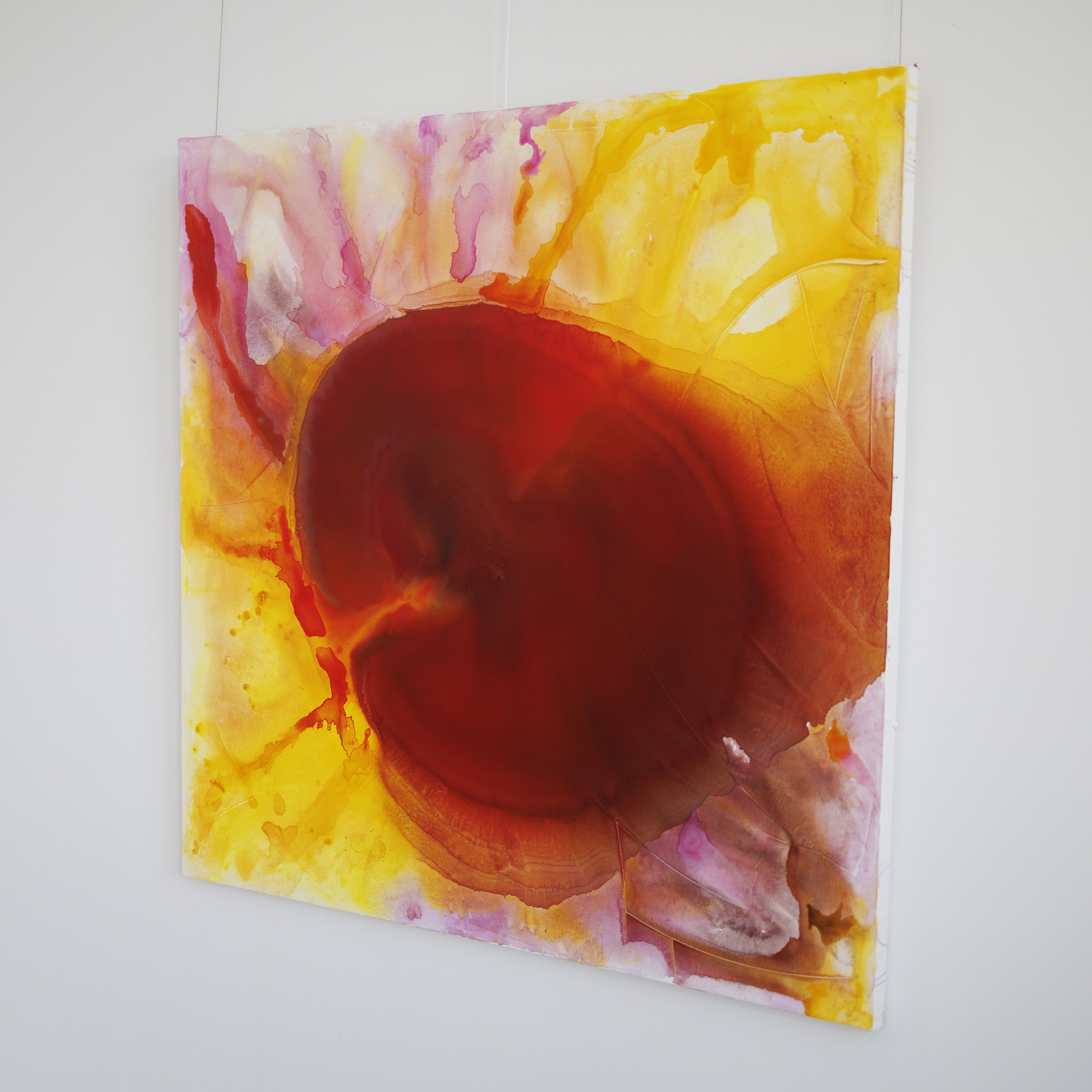 gerbera_yellow_wall02.jpg